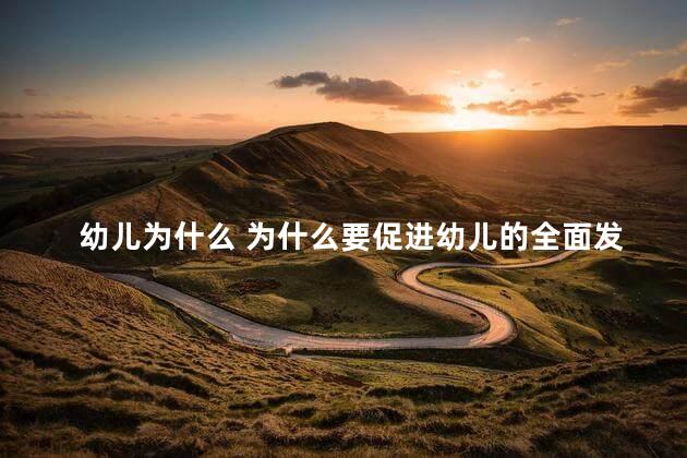 幼儿为什么 为什么要促进幼儿的全面发展